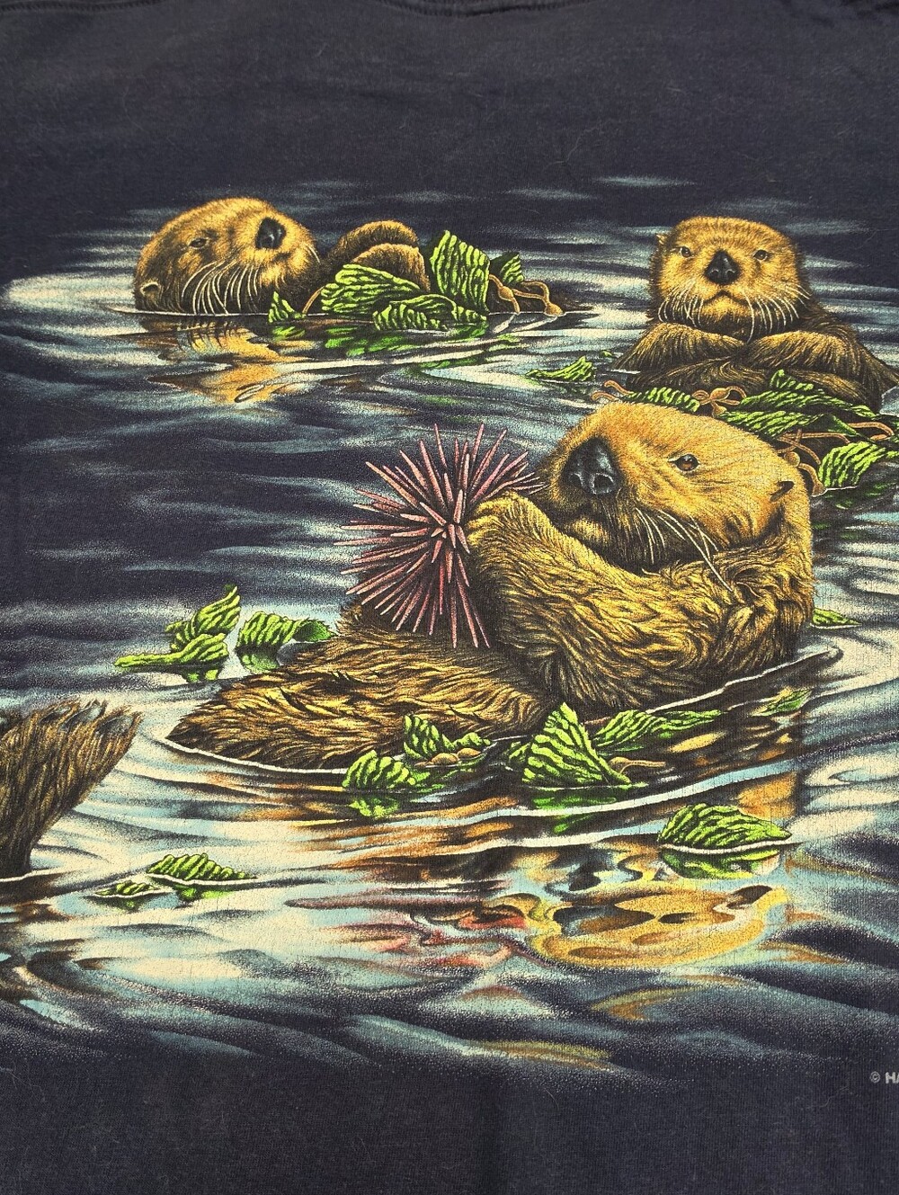 Front And Back Graphic Valdez Alaska Sea Otter Graphic Tee, Size Large